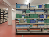 The media collection stored on shelves in a library.