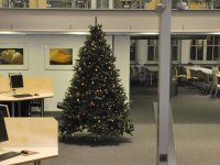 Weihnachtsbaum in der Teilbibliothek Stammgelände