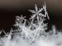 Ice Crystals