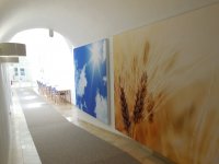 sound insulation pictures at the Renewable Resources Branch Library in Straubing