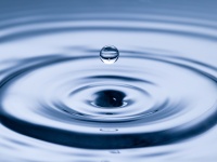 Drops fall onto the water surface and form waves.