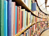 Geschwungenes Buchregal