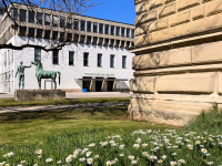 Meadow with daisies in front of the main building of TUM in Munich