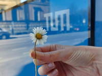Decorative picture with daisies and cube at the main entrance of TUM