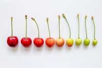 Cherries in different colours