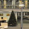 Weihnachtsbaum in der Teilbibliothek Stammgelände