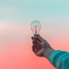 A hand is holding a bulb.