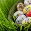 Easter eggs in a basket on a meadow