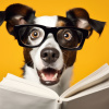 Ein Hund mit Brille liest in einem weißen Buch