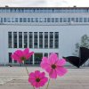 Blick vom Innenhof der Technischen Universität auf die Bibliothek mit pinker Blume im Vordergrund