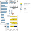 Floor plan of the Branch Library Chemistry, basement