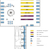 Floor plan of the Branch Library Physics, first floor