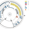 Floor plan of the Branch Library Weihenstephan, first floor