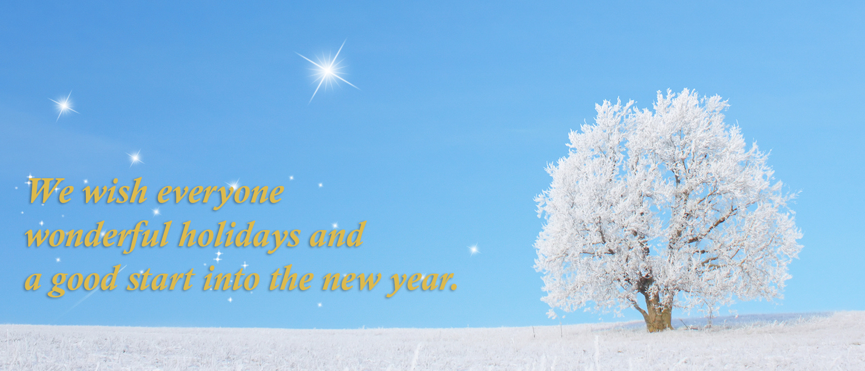 Christmas greetings: "We wish everyone wonderful holidays and a good start into the new year"